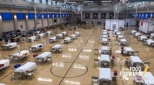 疫情下的餐饮管理新思路 绿会良食基金与耶鲁大学线上分享会实录